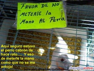 Aquí seguro estuvo el perro cabrón de hace rato….  Y eso  de meterle la mano como que no se me antoja! 