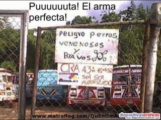 Puuuuuuta! El arma perfecta! 