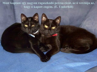 Most kaptam egy nagyon ragaszkodó perzsa cicát, az ő verziója az,
             hogy ő kapott engem. (E. Underhill)
 