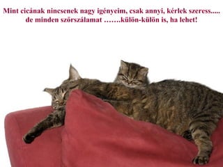 Mint cicának nincsenek nagy igényeim, csak annyi, kérlek szeress.....
       de minden szőrszálamat …….külön-külön is, ha lehet!
 
