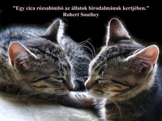 "Egy cica rózsabimbó az állatok birodalmának kertjében."
                    Robert Southey
 