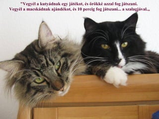 "Vegyél a kutyádnak egy játékot, és örökké azzal fog játszani.
Vegyél a macskádnak ajándékot, és 10 percig fog játszani... a szalagjával.,,
 