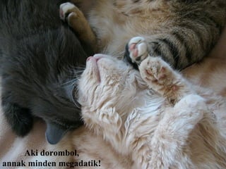 Aki dorombol,
annak minden megadatik!
 