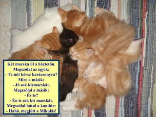 Két macska ül a háztetőn.
     Megszólal az egyik:
- Te mit kérsz karácsonyra?
        Mire a másik:
     - Jó sok kismacskát.
      Megszólal a másik:
            - És te?
   - Én is sok kis macskát.
 Megszólal hátul a kandúr:
 - Hahó, megjött a Mikulás!
 