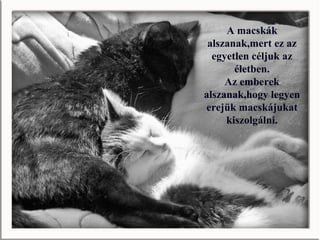 A macskák
 alszanak,mert ez az
  egyetlen céljuk az
       életben.
     Az emberek
alszanak,hogy legyen
erejük macskájukat
     kiszolgálni.
 