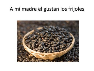 A mi madre el gustan los frijoles