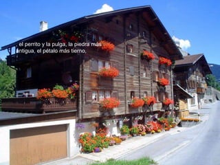 , el perrito y la pulga, la piedra más
antigua, el pétalo más tierno,
 