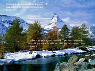 Sabe que el pez grande se traga al chico, 
que la lagartija grande se traga a la 
pequeña, 
. el hombre se traga al hombre. Y por eso inventó la 
muerte: para que la vida -no tú ni yo- la vida sea para 
siempre. 
 