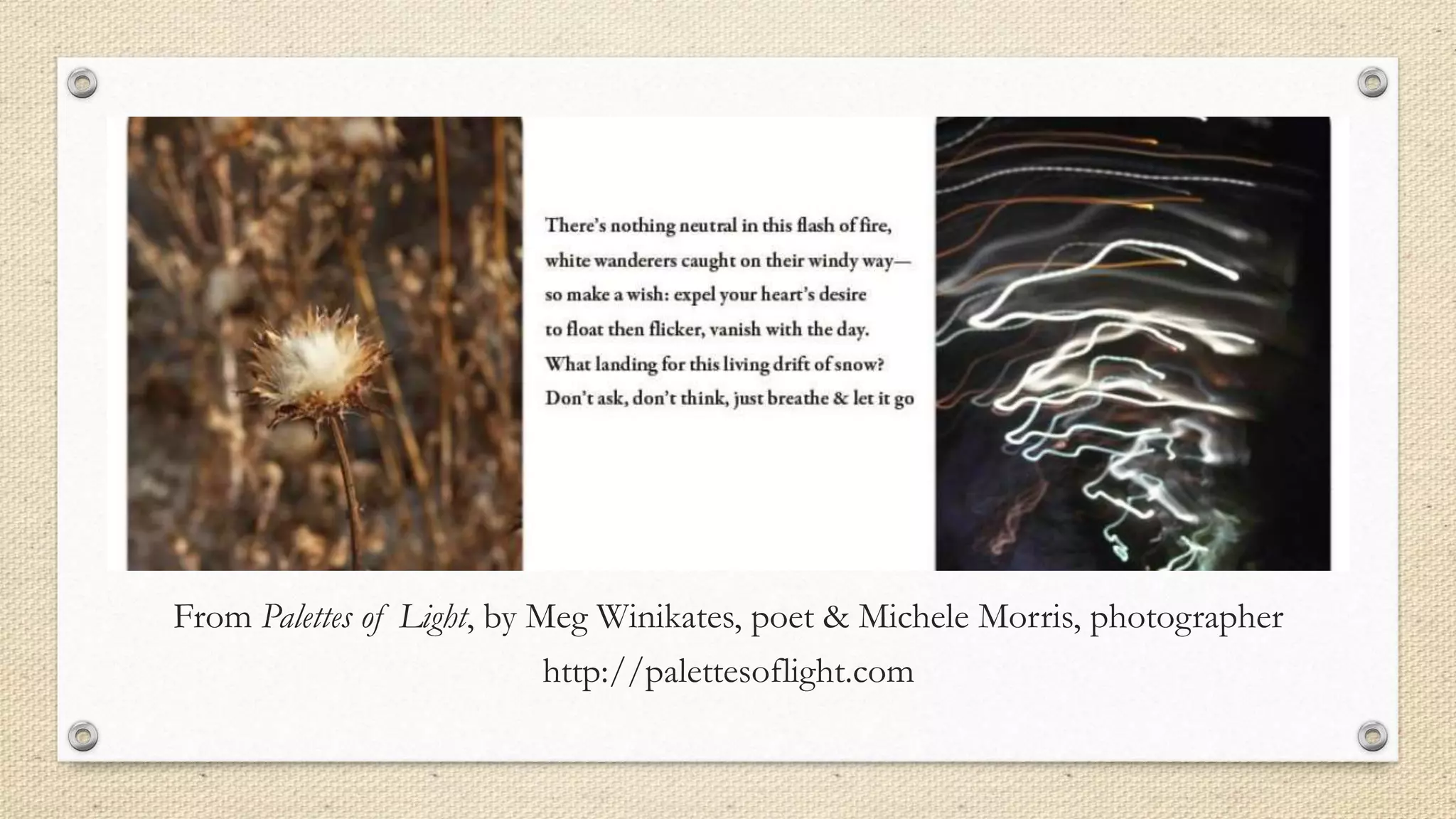From Palettes of Light, by Meg Winikates, poet & Michele Morris, photographer
http://palettesoflight.com
 