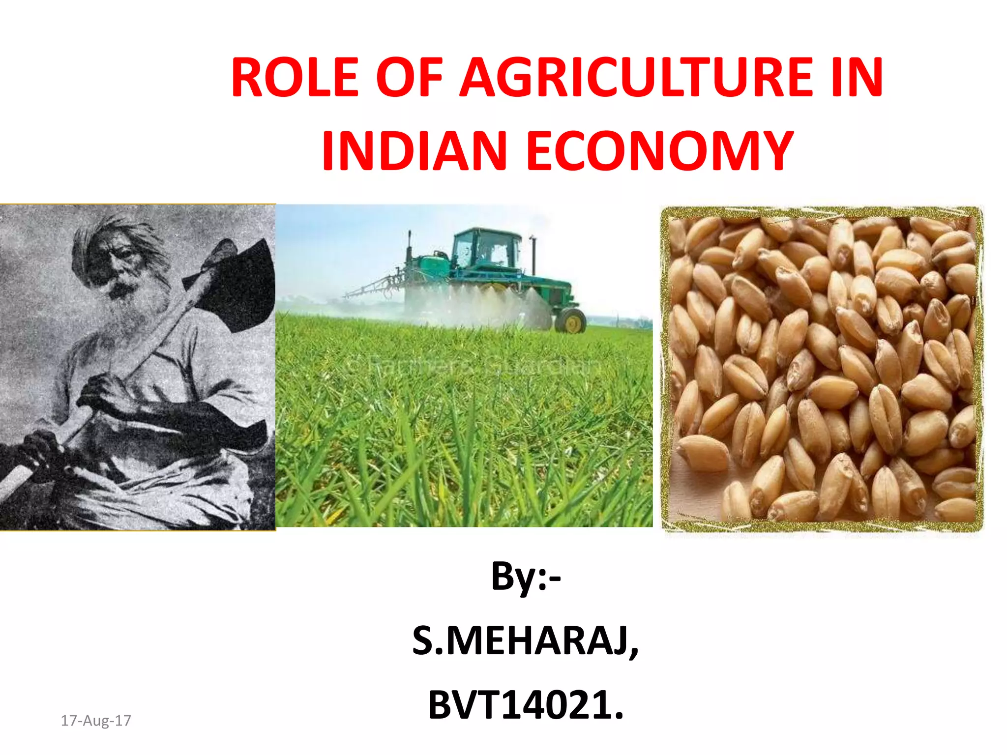 Role Of Agriculture in Indian Economy | PPTX