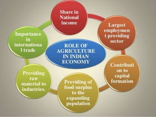 Role Of Agriculture in Indian Economy | PPTX