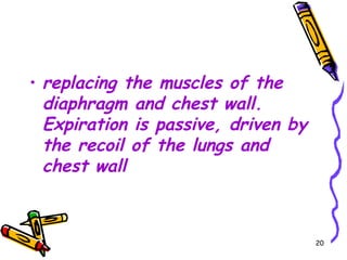 • replacing the muscles of the
  diaphragm and chest wall.
  Expiration is passive, driven by
  the recoil of the lungs and
  chest wall



                                     20
 