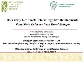 ETHIOPIAN DEVELOPMENT 
RESEARCH INSTITUTE 
Does Early Life Shock Retard Cognitive Development? 
Panel Data Evidence from Rural Ethiopia 
Guush Berhane-IFPRI ESSP, 
Mehari Hiluf-IFPRI ESSP, and 
Tassew Woldehanna-Young Lives Ethiopia 
Ethiopian Economics Association (EEA) 
19th Annual Conference of the African Region Chapter of the Econometric Society 
And 
12th International Conference on the Ethiopian Economy 
July 16-19, 2014, Addis Ababa 
1 
 