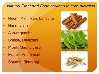 • Neem, Kanthkari, Lahsuna
• Haridavasa
• Ashwagandha
• Shirish, Daalchini
• Pipali, Madhu yasti
• Marich, Anantmool
• Shunthi, Bharangi
Natural Plant and Food sources to cure allergies
 