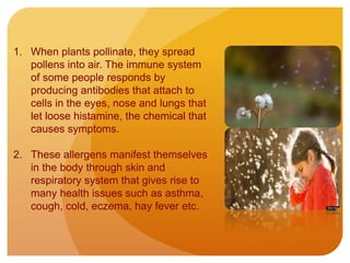 1. When plants pollinate, they spread
pollens into air. The immune system
of some people responds by
producing antibodies that attach to
cells in the eyes, nose and lungs that
let loose histamine, the chemical that
causes symptoms.
2. These allergens manifest themselves
in the body through skin and
respiratory system that gives rise to
many health issues such as asthma,
cough, cold, eczema, hay fever etc.
 