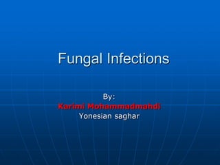 Fungal Infections By: Karimi Mohammadmahdi Yonesian saghar 
