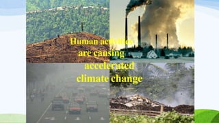 Human activities
are causing
accelerated
climate change
 