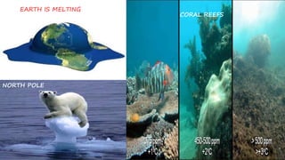 CORAL REEFS
NORTH POLE
EARTH IS MELTING
 