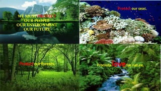 WE MUST PROTECT
OUR PEOPLE
OUR ENVIRONMENT
OUR FUTURE
Protect our seas.
Protectourforests. Promotelovefor nature.
 