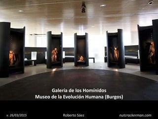 1
Roberto Sáezv. 26/03/2015 nutcrackerman.com
Galería de los Homínidos
Museo de la Evolución Humana (Burgos, España)
 