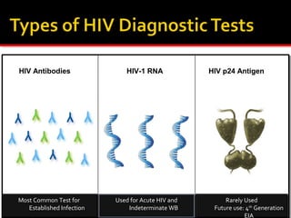 HIV Antibodies HIV-1 RNA HIV p24 Antigen
Most Common Test for
Established Infection
Most Common Test for
Established Infection
Rarely Used
Future use: 4th
Generation
Rarely Used
Future use: 4th
Generation
EIA
Used for Acute HIV and
Indeterminate WB
Used for Acute HIV and
Indeterminate WB
 