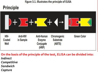 On the basis of the principle of the test, ELISA can be divided into:
Indirect
Competitive
Sandwich
Capture
 