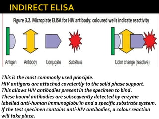 This is the most commonly used principle.
HIV antigens are attached covalently to the solid phase support.
This allows HIV antibodies present in the specimen to bind.
These bound antibodies are subsequently detected by enzyme
labelled anti-human immunoglobulin and a specific substrate system.
If the test specimen contains anti-HIV antibodies, a colour reaction
will take place.
 