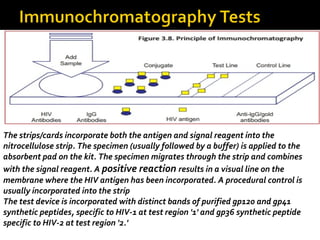 The strips/cards incorporate both the antigen and signal reagent into the
nitrocellulose strip. The specimen (usually followed by a buffer) is applied to the
absorbent pad on the kit. The specimen migrates through the strip and combines
with the signal reagent. A positive reaction results in a visual line on the
membrane where the HIV antigen has been incorporated. A procedural control is
usually incorporated into the strip
The test device is incorporated with distinct bands of purified gp120 and gp41
synthetic peptides, specific to HIV-1 at test region '1' and gp36 synthetic peptide
specific to HIV-2 at test region '2.'
 