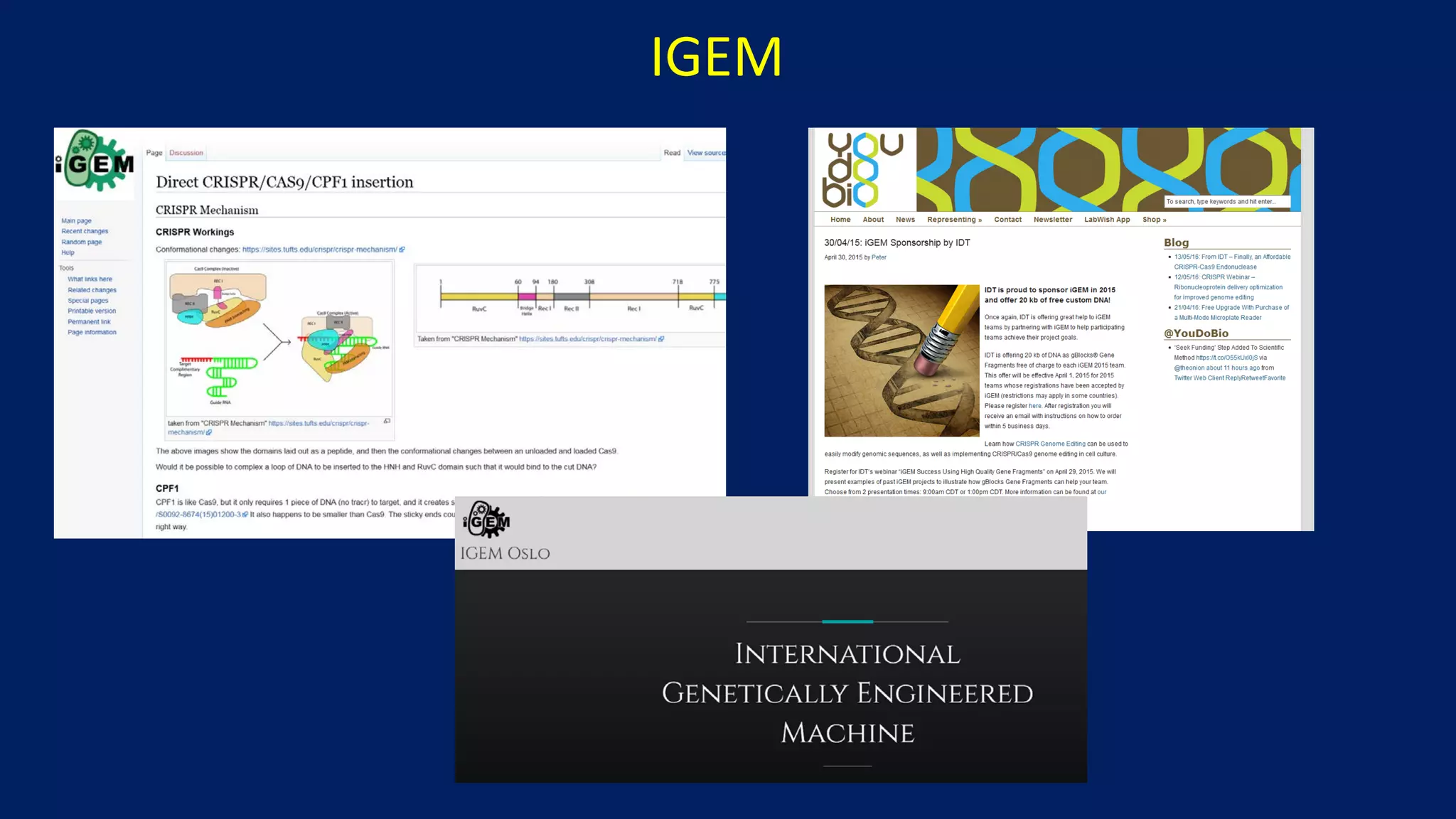 IGEM