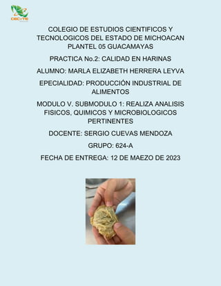 COLEGIO DE ESTUDIOS CIENTIFICOS Y
TECNOLOGICOS DEL ESTADO DE MICHOACAN
PLANTEL 05 GUACAMAYAS
PRACTICA No.2: CALIDAD EN HARINAS
ALUMNO: MARLA ELIZABETH HERRERA LEYVA
EPECIALIDAD: PRODUCCIÓN INDUSTRIAL DE
ALIMENTOS
MODULO V. SUBMODULO 1: REALIZA ANALISIS
FISICOS, QUIMICOS Y MICROBIOLOGICOS
PERTINENTES
DOCENTE: SERGIO CUEVAS MENDOZA
GRUPO: 624-A
FECHA DE ENTREGA: 12 DE MAEZO DE 2023
 