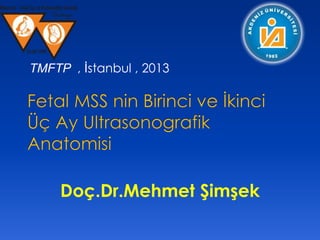 Doç.Dr.Mehmet Şimşek
TMFTP , İstanbul , 2013
 