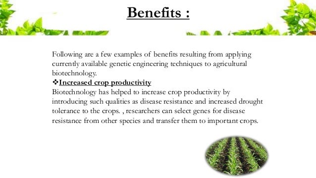 Advances in Agricultural Biotechnology