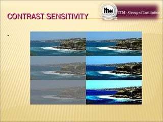 CONTRASTCONTRAST SENSITIVITYSENSITIVITY
..
 
