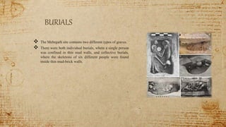 BURIALS
 The Mehrgarh site contains two different types of graves.
 There were both individual burials, where a single person
was confined in thin mud walls, and collective burials,
where the skeletons of six different people were found
inside thin mud-brick walls.
 