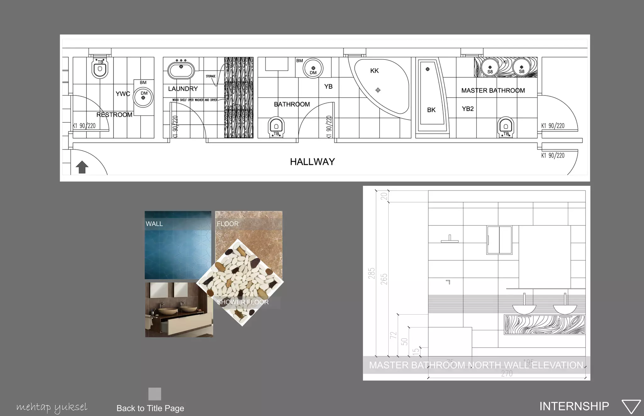 WALL          FLOOR




                                     SHOWER FLOOR




                                                    MASTER BATHROOM NORTH WALL ELEVATION



mehtap yuksel   Back to Title Page                                              INTERNSHIP
 