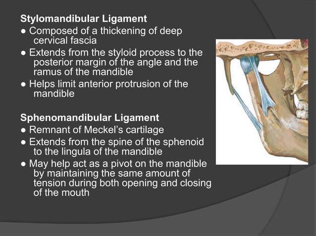 Anatomy of Temporomandibular Joint | PPSX | Death, Injury, or Military ...
