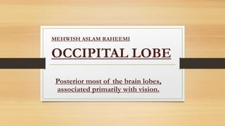MEHWISH ASLAM RAHEEMI
OCCIPITAL LOBE
Posterior most of the brain lobes,
associated primarily with vision.
 