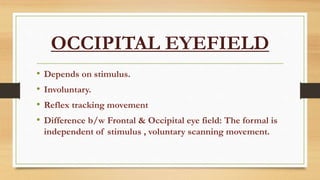 OCCIPITAL EYEFIELD
• Depends on stimulus.
• Involuntary.
• Reflex tracking movement
• Difference b/w Frontal & Occipital eye field: The formal is
independent of stimulus , voluntary scanning movement.
 