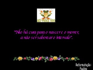 "Não há cura para o nascer e o morrer, a não ser saborear o intervalo". Reformatação: Paulino 