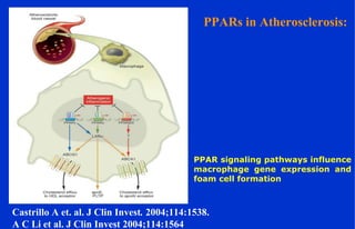 PPARs in Atherosclerosis:
Castrillo A et. al. J Clin Invest. 2004;114:1538.
A C Li et al. J Clin Invest 2004;114:1564
PPAR signaling pathways influence
macrophage gene expression and
foam cell formation
 