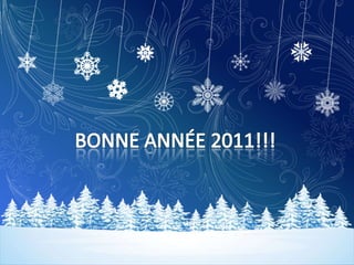 BONNE ANNÉE 2011!!! 