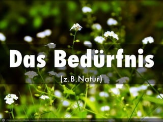 Photo by blmiers2 - Creative Commons Attribution-NonCommercial-ShareAlike License https://www.flickr.com/photos/41304517@N00 Created with Haiku Deck
 