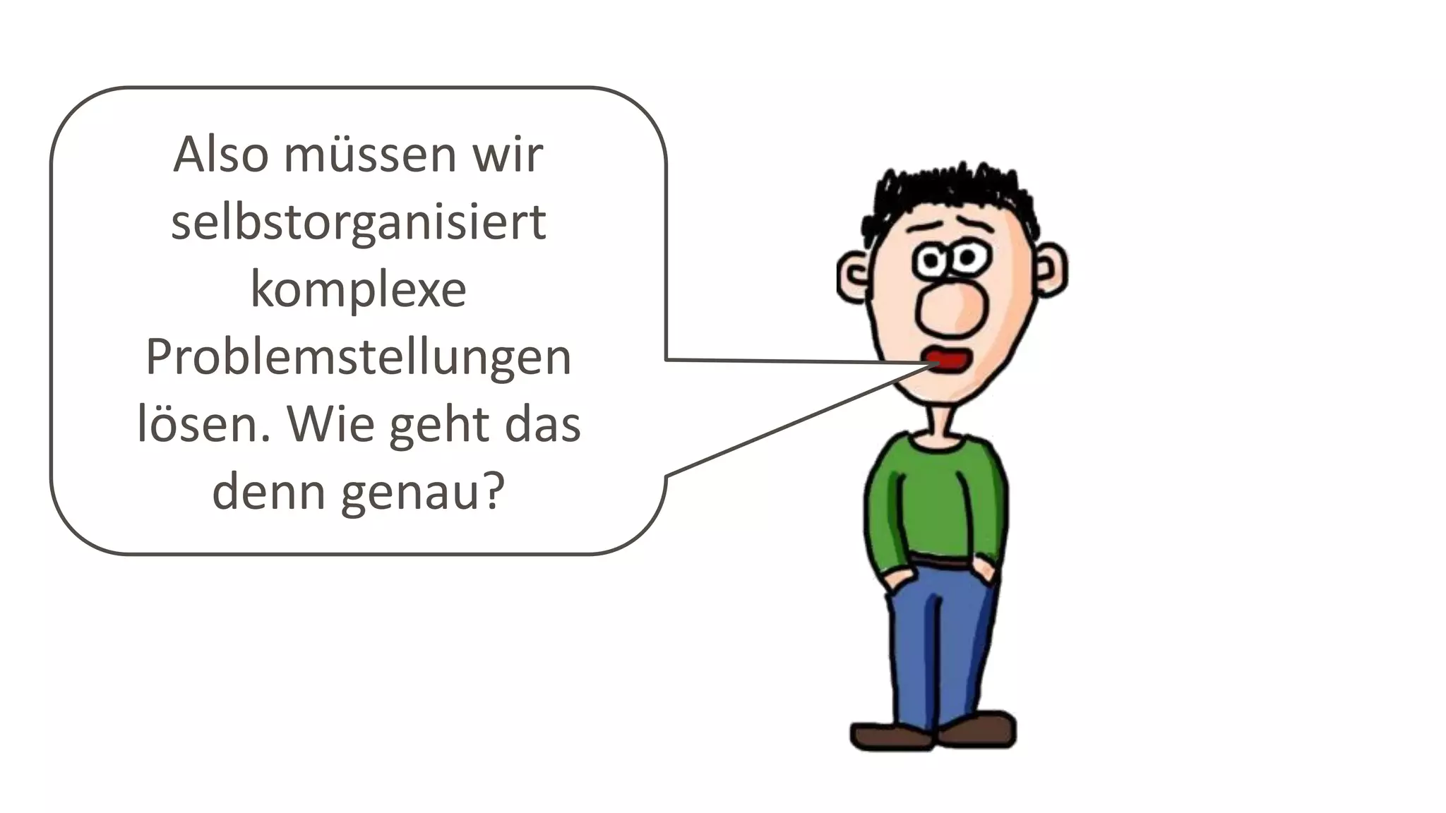 Also müssen wir
selbstorganisiert
komplexe
Problemstellungen
lösen. Wie geht das
denn genau?
 
