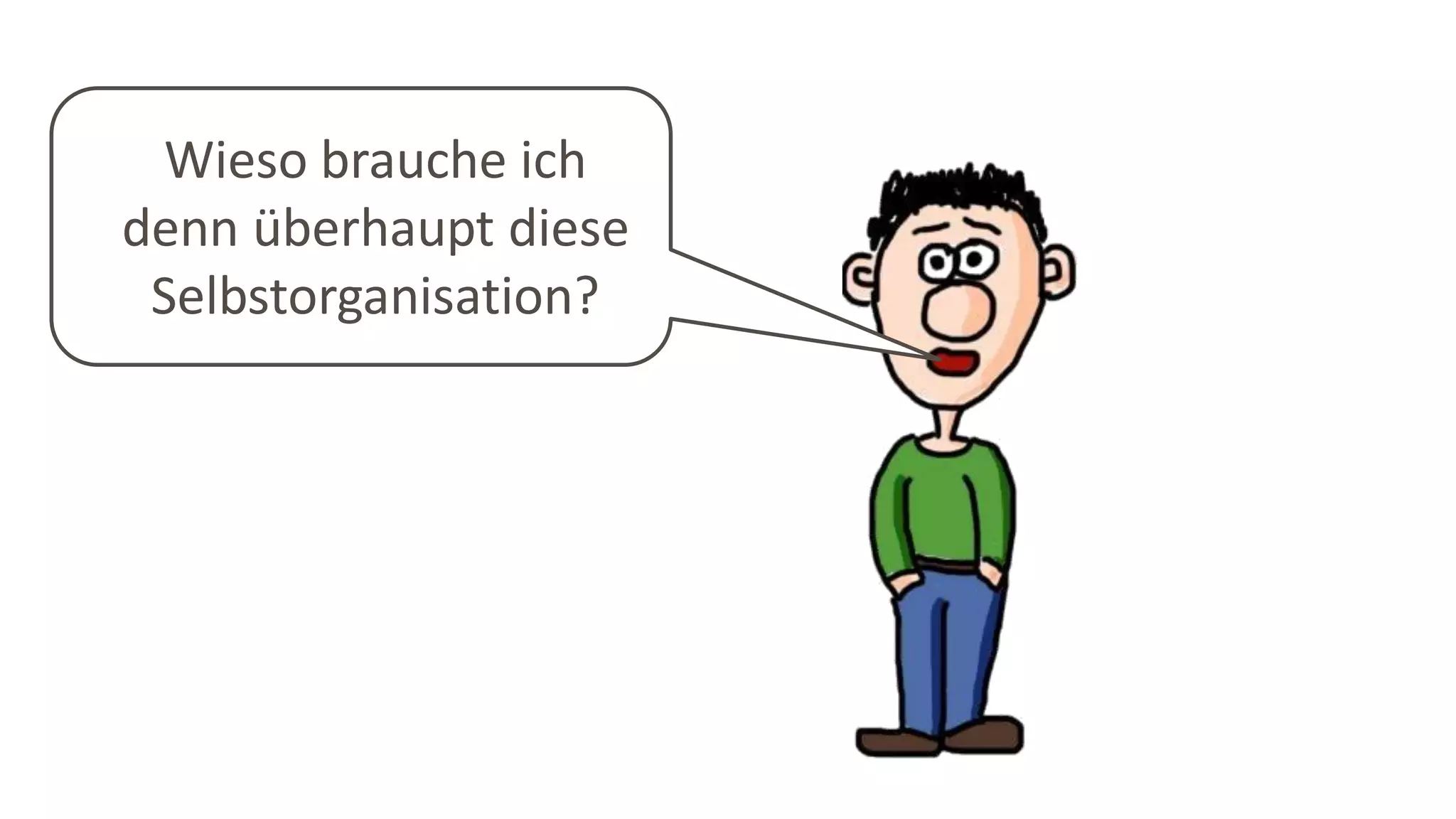 Wieso brauche ich
denn überhaupt diese
Selbstorganisation?
 