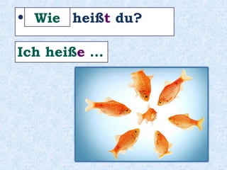 Sie ________ 66 Jahre alt .ist
 