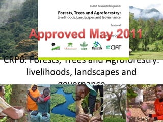CRP6: Forests, Trees and Agroforestry: livelihoods, landscapes and governance 
