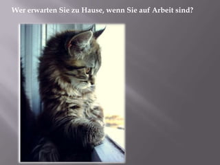 Wer erwarten Sie zu Hause, wenn Sie auf Arbeit sind?
 