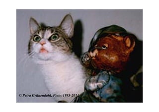 ©
© Petra Grünendahl, Fotos 1993-2014
 