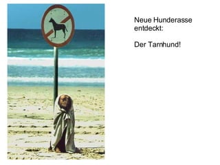 Neue Hunderasse entdeckt: Der Tarnhund!