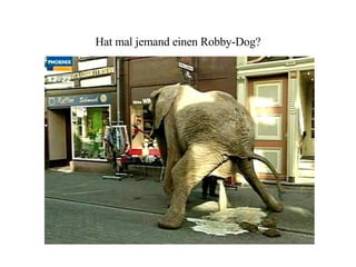 Hat mal jemand einen Robby-Dog?